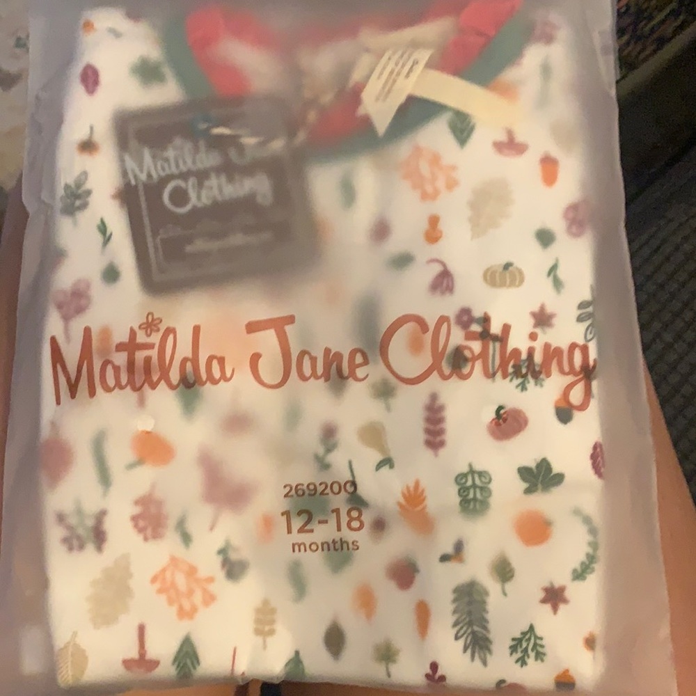 Matilda Jane baby pumpkin patch bodysuit 12-18